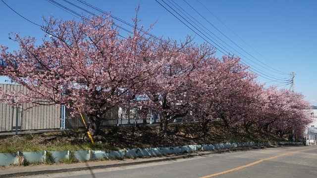 DSC02322.jpg