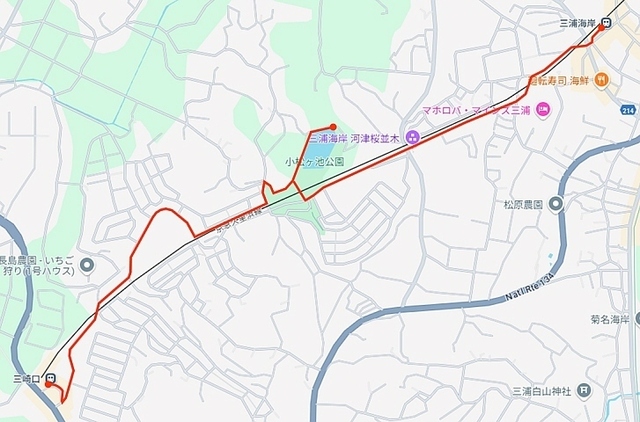 sakura_matsuri_map.jpg